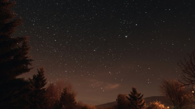A quiet night reveals a beautiful sky filled with countless stars, illuminating the darkness with their twinkling light. The tall trees frame the scene, enhancing the starry ambian