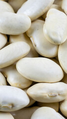 grains of white beans with visible details