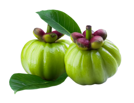 garcinia cambogia fruits with leaves isolated on transparent background.