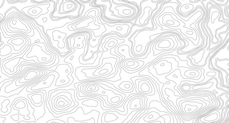 Abstract line of the topographic map. Topographic map lines, contour background. Geographic abstract grid. 