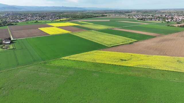 Aerial view of vibrant farmlands displaying a patchwork of green and yellow crops, creating a picturesque landscape, Wittenheim, Grand Est, France.