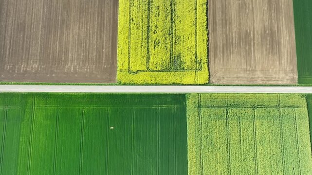 Aerial view of vibrant agricultural fields displaying a textured tapestry of green and brown separated by a grey road, Wittenheim, Grand Est, France.
