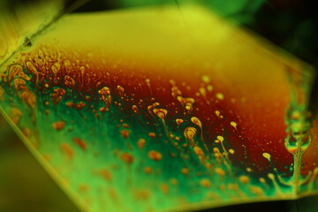 Green liquid chemical surface, phenomenal structure, green oils on a dark background, colourful abstract, surrealistic art, iridescent effect