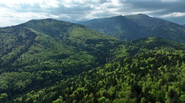 Aerial view of lush green forested mountains under a cloudy sky, a serene landscape of nature's beauty, Thann, Grand Est, France.