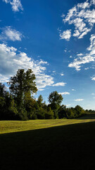 Naklejka premium Sunny park landscape in Southern Illinois with blue sky trees and an open grassy field
