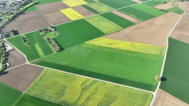 Aerial view of vibrant patchwork of agricultural fields, a symphony of green and yellow hues bisected by roads, Wittenheim, Grand Est, France.