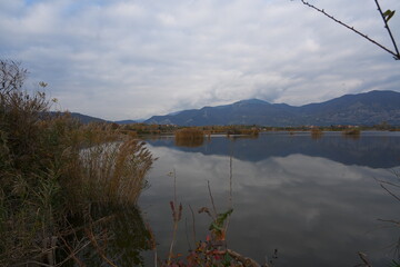 The foliage, colors, and lights of autumn in the Torbiere del Sebino Nature Reserve. The oasis of is located in a marshy area south of Lake Iseo.