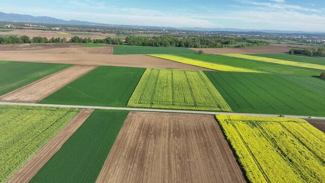 Aerial view of vibrant patchwork fields, a colorful quilt of green, yellow, and brown contrasting textures, Wittenheim, Grand Est, France.