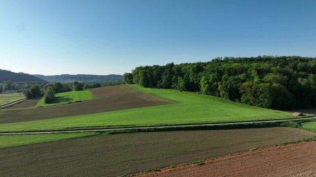 Aerial view of cultivated fields in vibrant green and dark brown hues meeting a dense forest under a clear blue sky, Zillisheim, Grand Est, France.