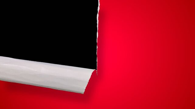 paper ripped effect transition collection with alpha channel