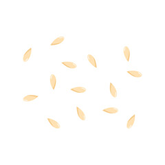 Sesame Seeds Illustration