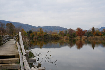 The foliage, colors, and lights of autumn in the Torbiere del Sebino Nature Reserve. The oasis of is located in a marshy area south of Lake Iseo.