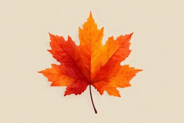 Maple leaf in vibrant orange and red hues illustrating autumnal change, seasonal beauty and textured foliage against background