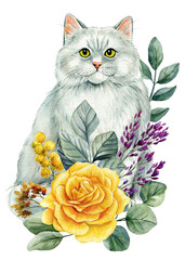 Watercolor white fluffy cat with yellow rose mimosa violet leaves botanical floral illustration