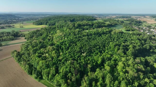 Aerial view of a vibrant green forest meeting cultivated fields, showcasing a tapestry of textures and colors under the clear sky, Zillisheim, Grand Est, France.