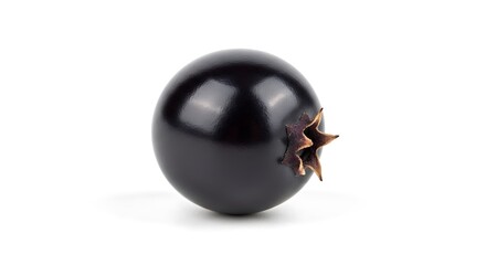 Single Fresh Ripe Blackcurrant Berry on White Background.