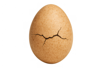 Brown eggshell cracking, showing fragility and new life potential, ready for hatching or breaking, transparent background