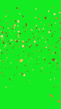 Golden Confetti Falling Vertical Green Screen Party Celebration Overlay