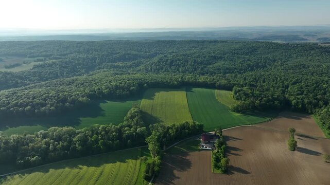 Aerial view of verdant fields interspersed with dense forest, creating a vibrant tapestry of green and brown hues, Zillisheim, Grand Est, France.