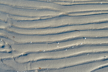 Natural Baltic Sea beach with wooden structures smooth sand and shallow water in a serene coastal scene