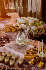 Luxurious pink dessert table featuring white cake pops, mousse hearts, and pastries at an elegant festive celebration.