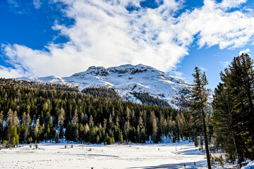 St. Moritz, Stazersee, Stazerwald, Bergsee, Langlauf,  Langlaufloipe, Winter, Wintersport, Rosatschgruppe, Alpen, Oberengadin, Graubünden, Schweiz