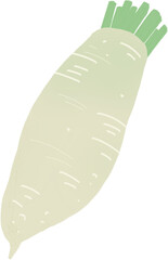 white radish vegetable illustration