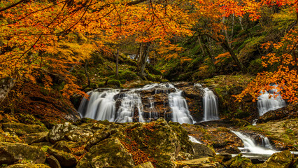 紅葉　滝　江竜田の滝　二見ヶ滝　福島