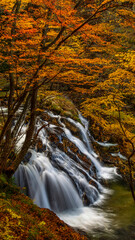 紅葉の江竜田の滝　秋の福島　絶景　縦構図