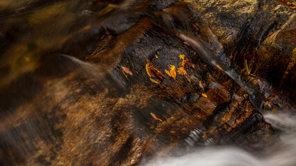 透明度の高い川の流れと紅葉　絶景