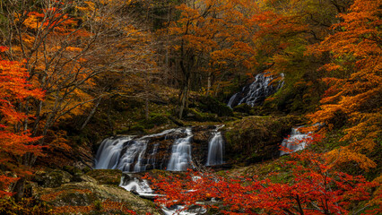 秋の福島　紅葉と江竜田の滝　絶景