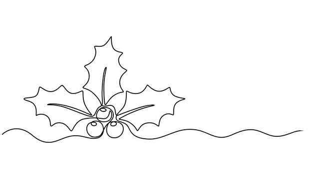 Holly berry continuous one line drawing animation, Christmas plant in continuous line drawing style. Line art of holly leaves with berry. Vector illustration. Abstract background, Christmas plant