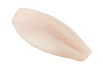 Raw fish fillet, boneless and skinless, ready for cooking. Offering fresh seafood and lean protein on a transparent background cut-out