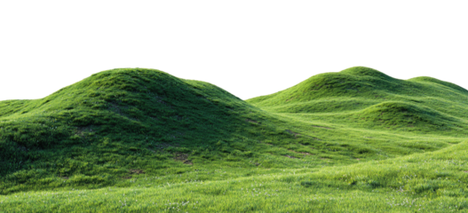 Rolling green hills covered in vibrant grass