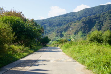 Quiet Lane toward Forested Hills