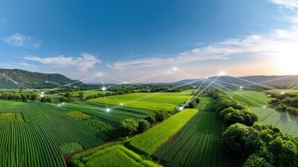 Fototapeta premium Expansive Agriculture Landscape with Networking Technology Concept Representing Connectivity and Innovation in Modern Farming Practices