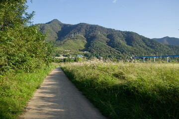 Dirt Path through River Meadow