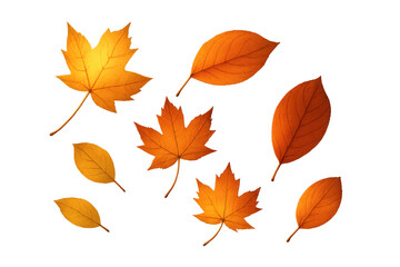 Fototapeta premium Autumn leaves falling, scattered foliage in warm orange and yellow colors, showing seasonal change. Transparent background