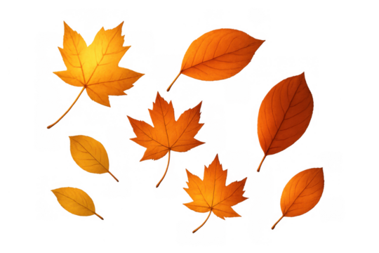 Autumn leaves falling, scattered foliage in warm orange and yellow colors, showing seasonal change. Transparent background - Powered by Adobe