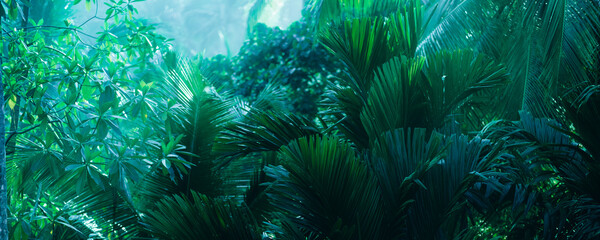 Tropical Rainforest Banner With Cool Light And Dense Palm Vegetation