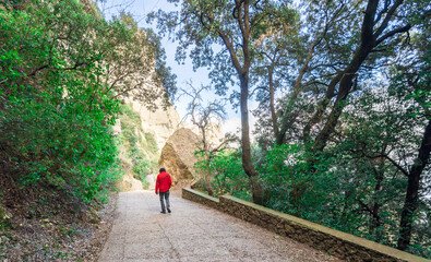 Obraz premium Man is walking down a path in a forest