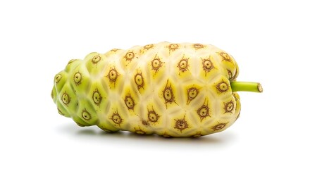 Fresh Noni Fruit Morinda Citrifolia Isolated on White.