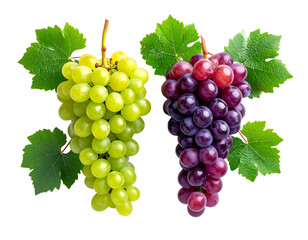 Two-Variation Colorful Fresh Grape Variety Collection, isolated on transparent background 