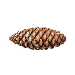Snow-Dusted Pine Cone &ndash; Photorealistic Isolated PNG