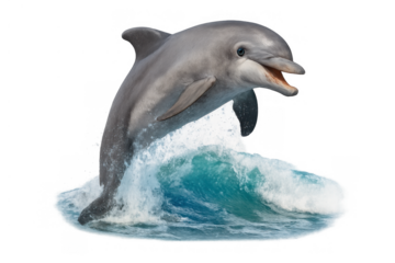 Dolphin jumping from ocean water creating a splash with mouth open, isolated on transparent background