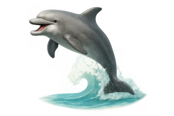 Dolphin jumping out of water with open mouth, playful marine animal isolated on transparent background