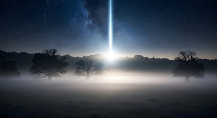 Naklejka premium Mystical night landscape with a bright meteor shower over misty forest and silhouetted trees