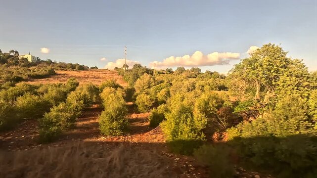Train Approaching Albufeira Field View from Passenger Seat Window Train Ride Algarve Faro Region Southern Nature Portugal Landscape Sunny Day in November 4K Footage