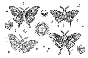 Mystical moth line art with occult and esoteric symbols