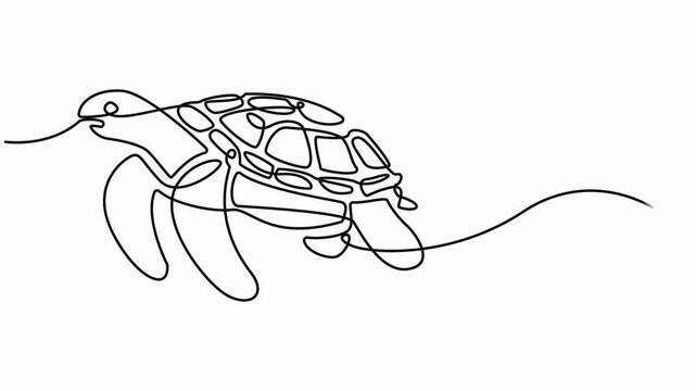 Self drawing animation of sea turtle drawn by one continuous line. Animated single line doodle animal, Turtle. One line drawing animation. Cute ocean reptile 4k video Full length line animation.